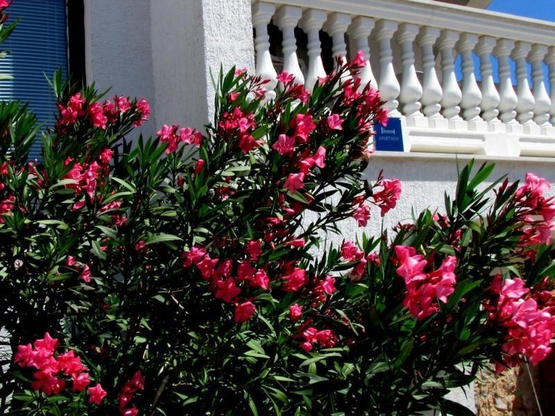 Apartments Katarina K مالينسكا المظهر الخارجي الصورة